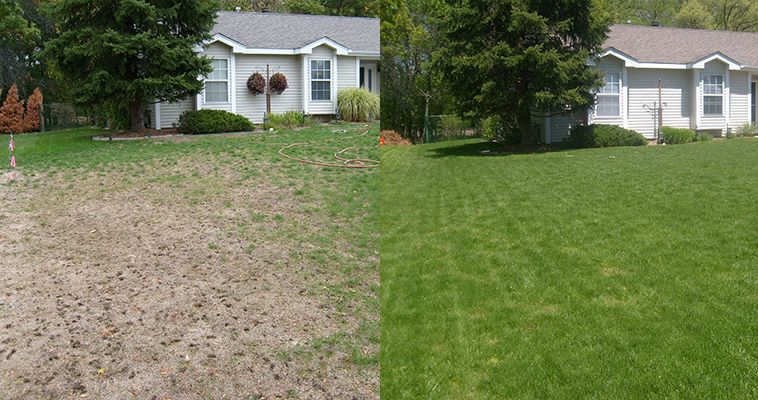 before-after-aeration