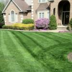 organic lawn care, akron canton lawn care, organic fertilizer, weed control, fertilization, organic lawn service