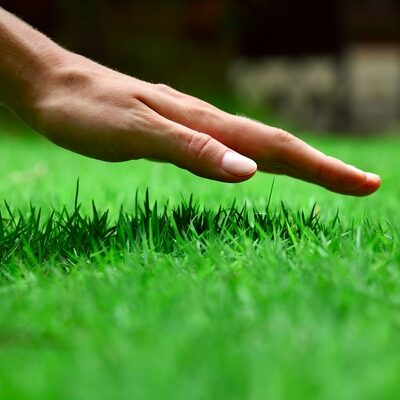 lawn care treatments, lawn care provider, lawn care services, lawn service, lawn care, akron canton, ohio, fertilization applications. lime treatments