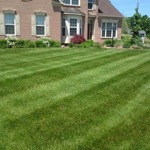 lawn fertilization, lawn fertilizer, lawn treatments, akron canton lawn care, lawn service, local lawn care, weed control, grub control, crabgrass, dandelions