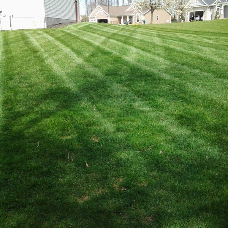 akron canton lawn care, doylestown ohio, canal fulton ohio, lawn care, lawn service, lawn care service, turf, grass, grass treatments, turf treatments, turf fertilization, grass fertilization