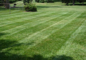 Akron Canton Lawn Care Services