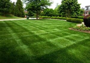 mowing service, mowing company, landscaping service, landscaping company, landscaper, lawn mowing service, copley ohio, 44321, 44333, 44313, 44303, 44203, norton ohio